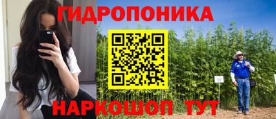 дмт Берёзовский