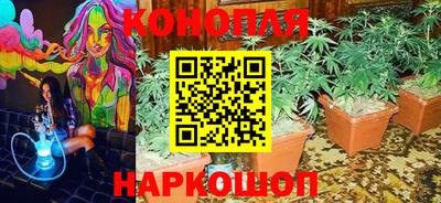 дмт Берёзовский