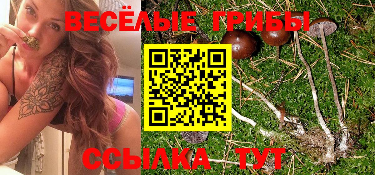 Гашиш  Конопля  COCAIN  ТГК  Гашиш  Грязи  Меф МЯУ МЯУ   Вход с VPN 