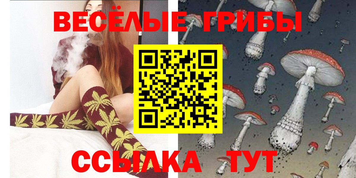 Галлюциногенные грибы Psilocybine cubensis Грязи