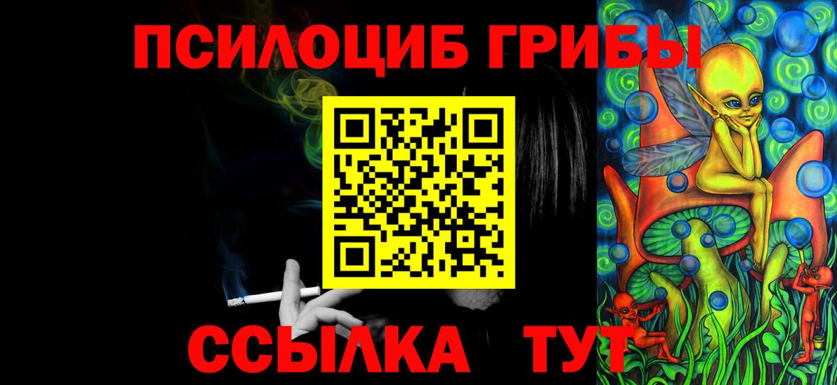 купить  сайты  Грязи  Галлюциногенные грибы ЛСД  Псилоцибиновые грибы мицелий 