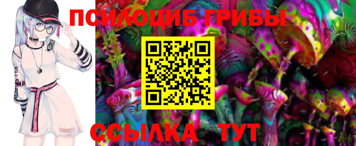 Псилоцибиновые грибы мицелий  Псилоцибиновые грибы мухоморы  Вход с VPN  Грязи 